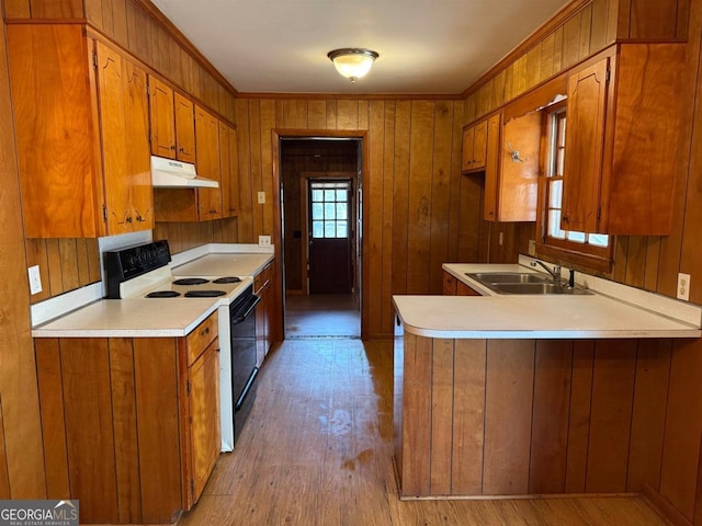 kitchen featuring sink, crown molding, range with electric cooktop, light hardwood / wood-style floors, and wood walls