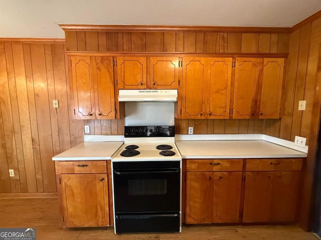 kitchen with wooden walls and electric range