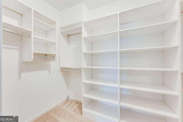 spacious closet with light carpet