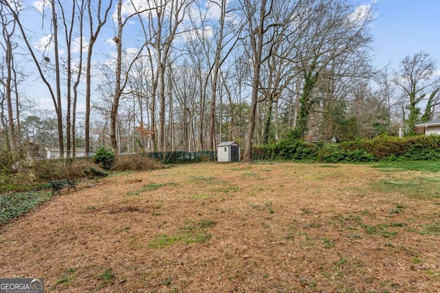 view of yard with a storage shed