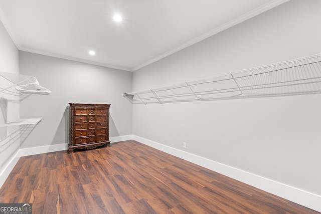 walk in closet with dark hardwood / wood-style floors