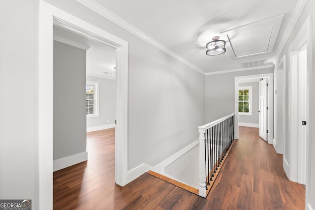 hall with crown molding and dark wood-type flooring