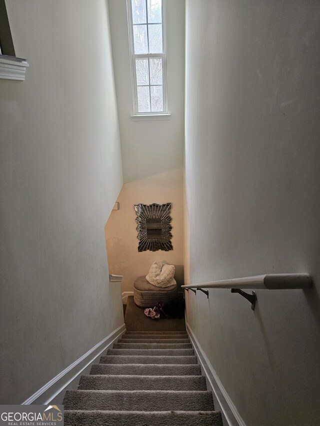 staircase featuring carpet