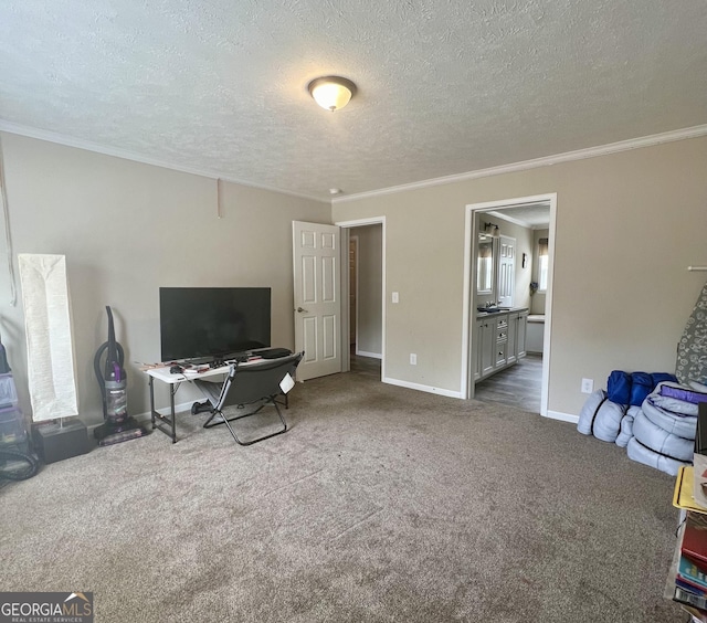 carpeted home office featuring crown molding and a textured ceiling