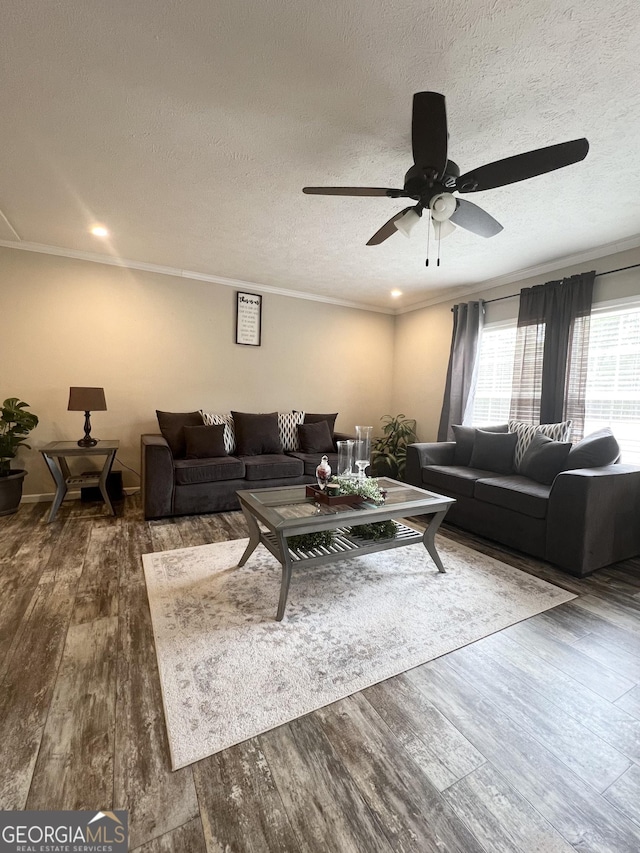 living room featuring dark hardwood / wood-style flooring, crown molding, and a textured ceiling