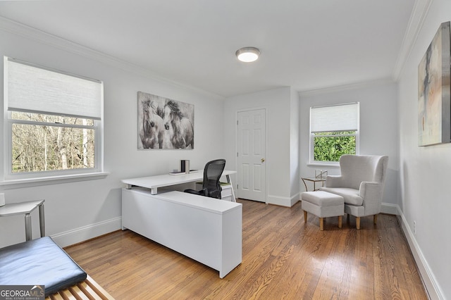 office space featuring crown molding and wood-type flooring