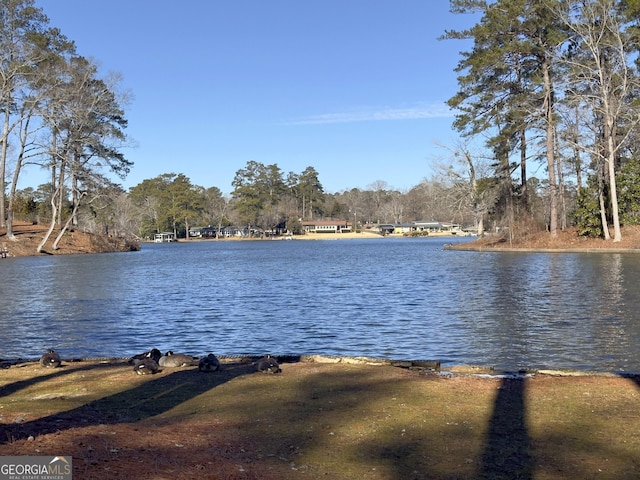 view of water feature