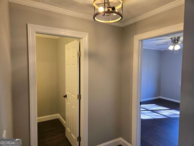 corridor with crown molding, dark hardwood / wood-style floors, and a textured ceiling