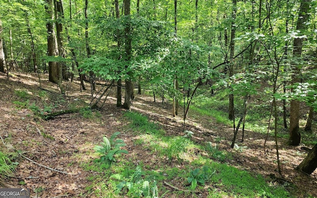 0 Oneida Cir, Ellijay GA, 30540 land for sale