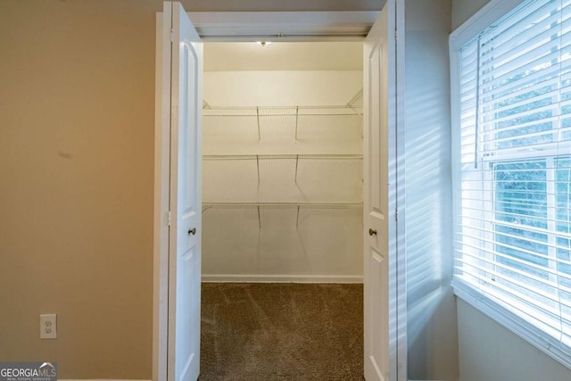 walk in closet with dark carpet