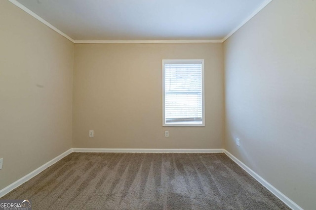 spare room with ornamental molding and carpet floors