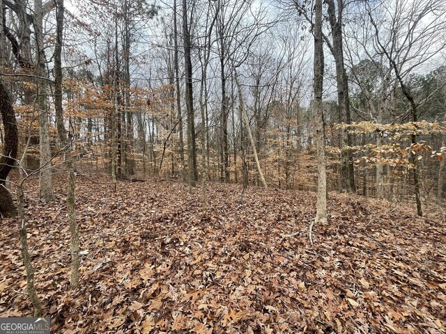 0 US Highway 100, Franklin, GA 30217