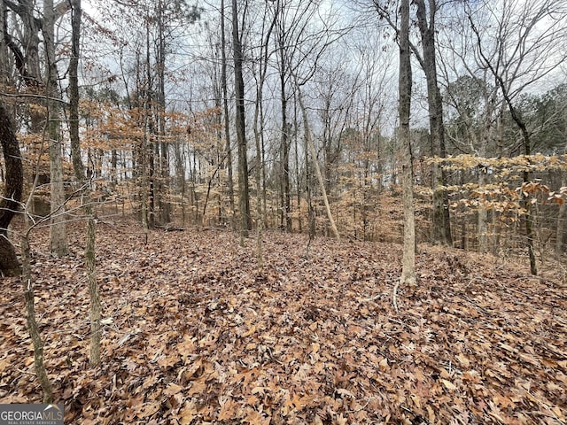 0 US Highway 100, Franklin, GA 30217