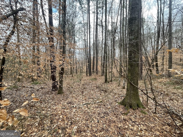 0 US Highway 100, Franklin, GA 30217