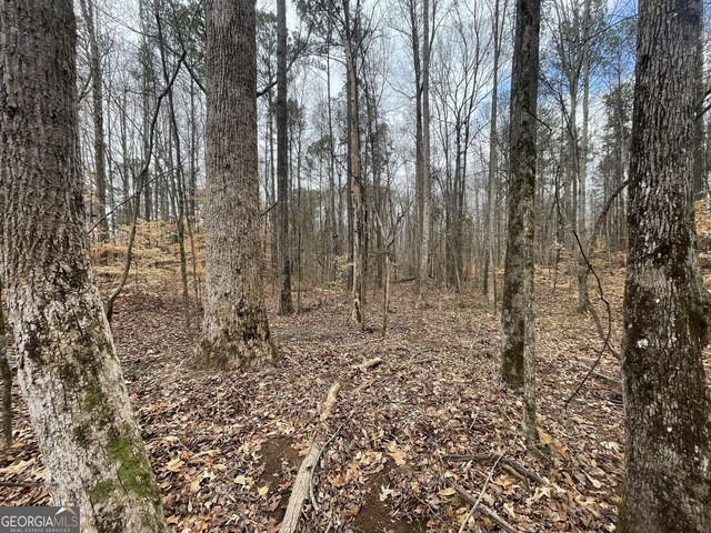 0 US Highway 100, Franklin, GA 30217
