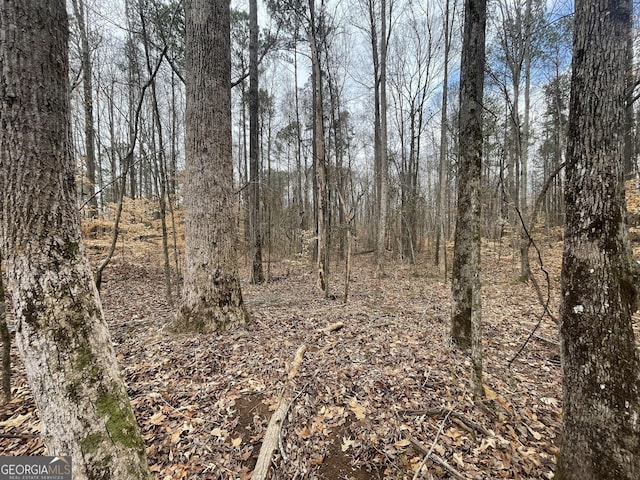 0 US Highway 100, Franklin, GA 30217