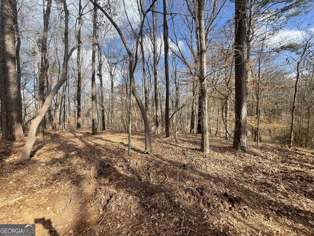 0 US Highway 100, Franklin, GA 30217
