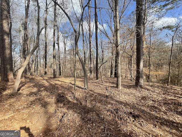 0 US Highway 100, Franklin, GA 30217