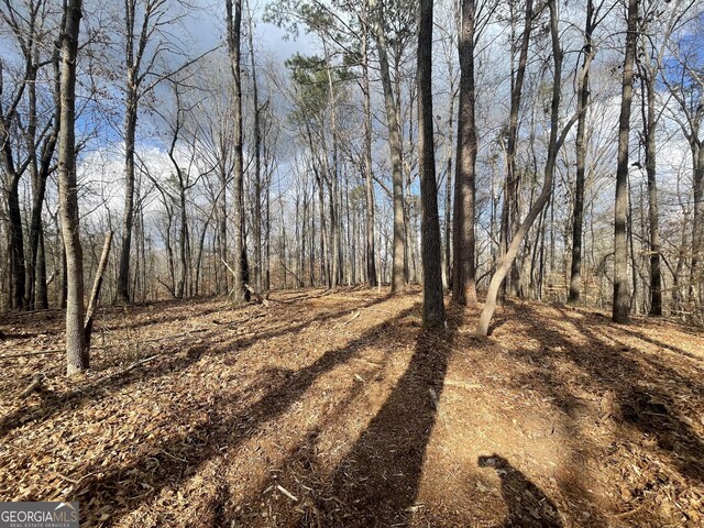 0 US Highway 100, Franklin, GA 30217