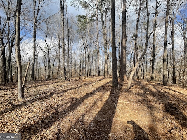 0 US Highway 100, Franklin, GA 30217