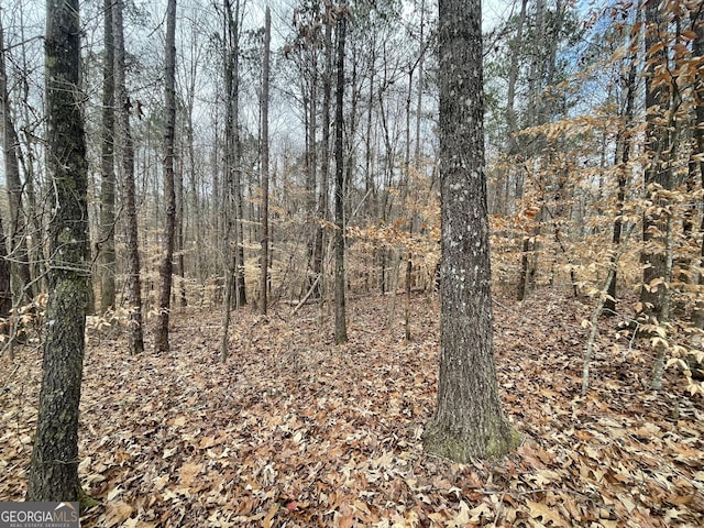 0 US Highway 100, Franklin, GA 30217