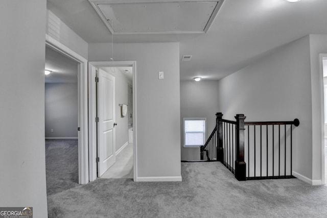 hallway featuring carpet floors