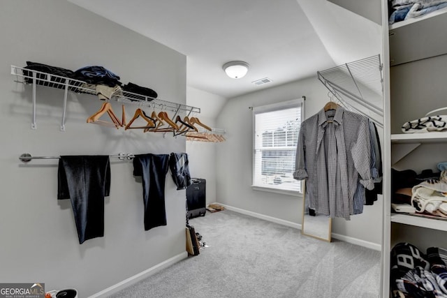 spacious closet with carpet