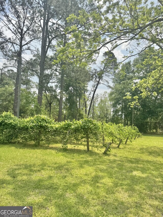 123 Blount St, Reidsville, GA 30453 - view of yard