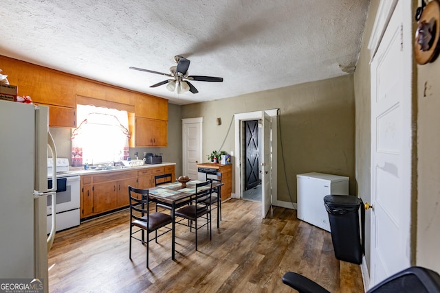 dining area with ceiling fan, a textured ceiling, and wood finished floors