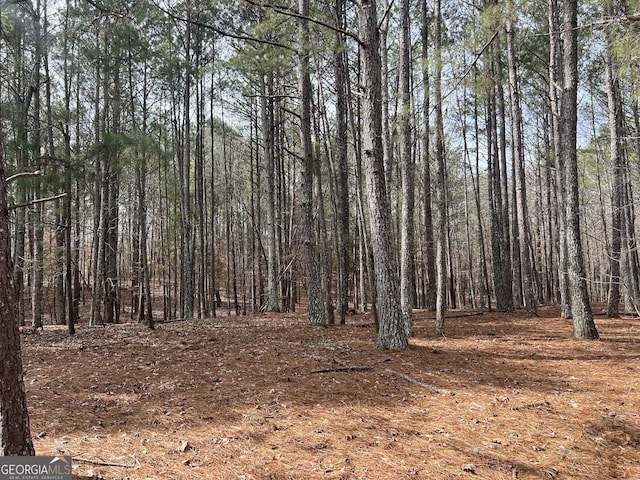 325 Everett Springs Rd NE, Calhoun GA, 30701 land for sale