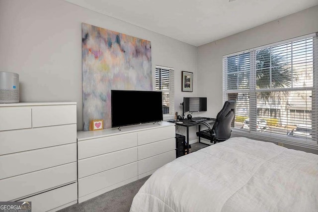 bedroom featuring carpet floors