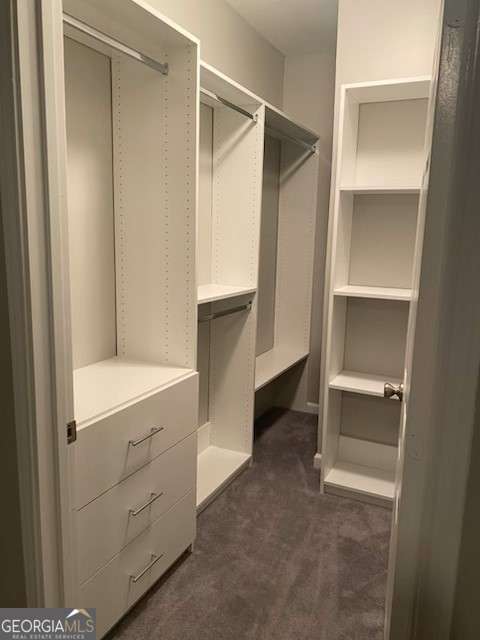 walk in closet with dark carpet