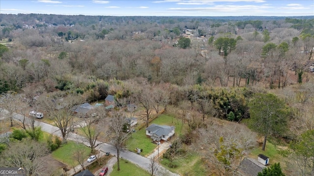 2923 Hall Dr SE, Smyrna, GA 30082 - birds eye view of property