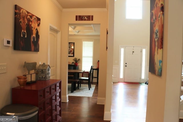 foyer with crown molding, coffered ceiling, and dark wood-type flooring