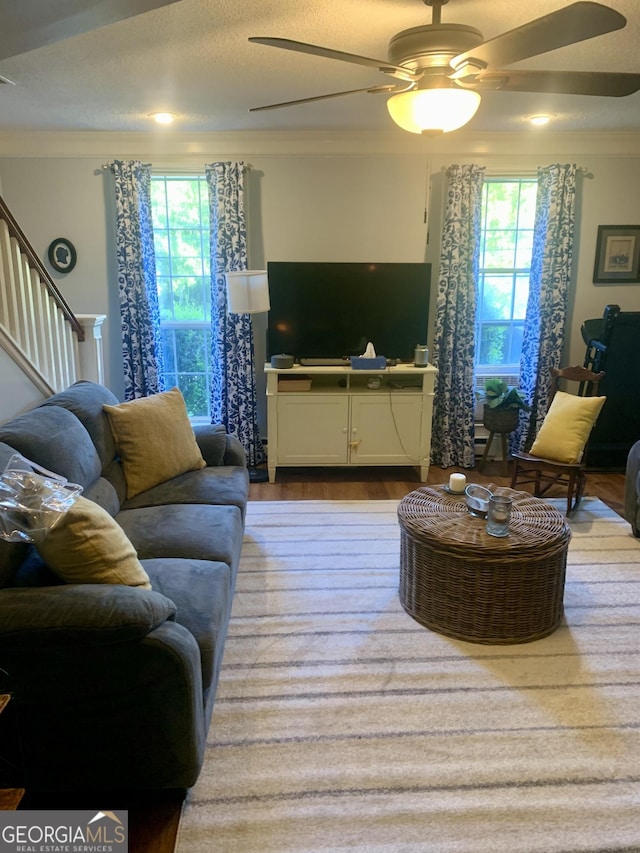 living room with crown molding, light hardwood / wood-style floors, and a healthy amount of sunlight