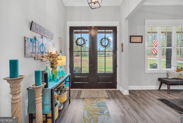 entryway featuring wood-type flooring, a healthy amount of sunlight, and french doors