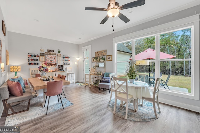 dining area with crown molding, a wealth of natural light, and wood-type flooring