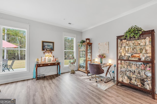 home office featuring crown molding and wood-type flooring