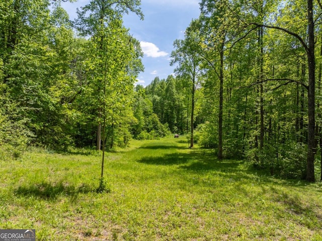 view of local wilderness