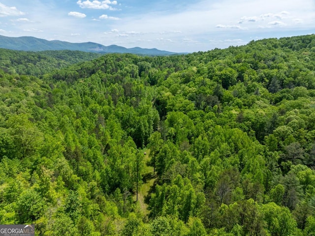 bird's eye view featuring a mountain view