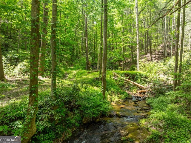 view of local wilderness