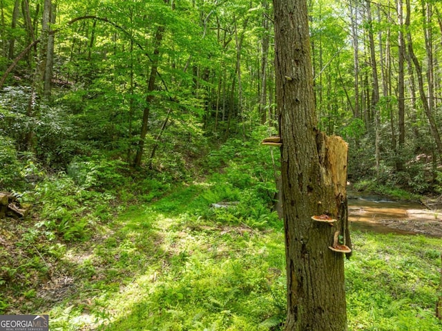 view of local wilderness