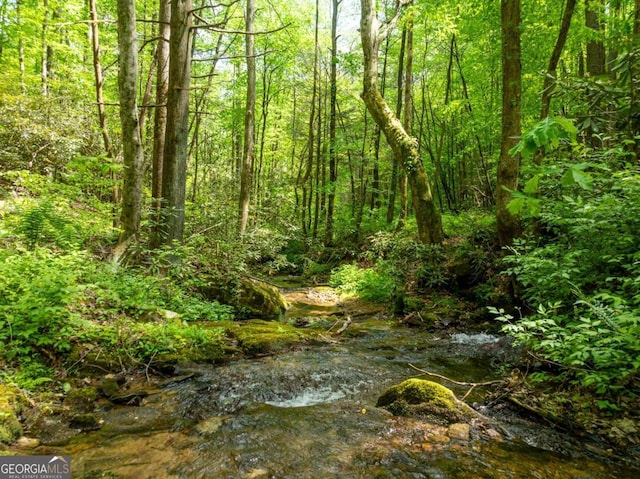 view of local wilderness