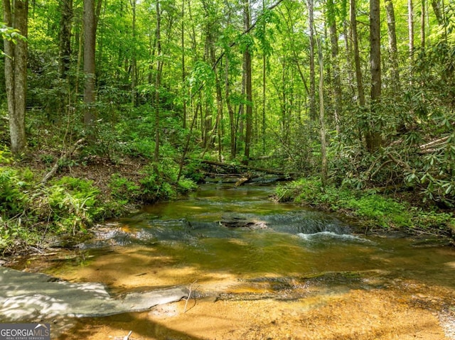 view of nature