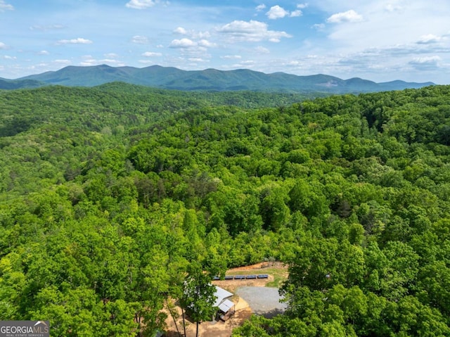 bird's eye view with a mountain view