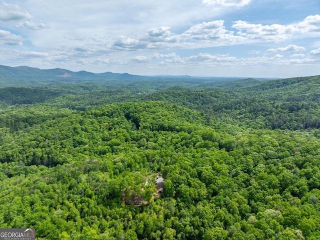 bird's eye view with a mountain view