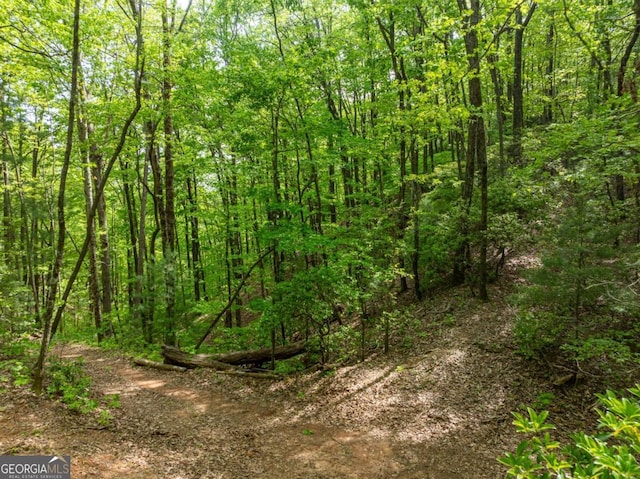 view of local wilderness