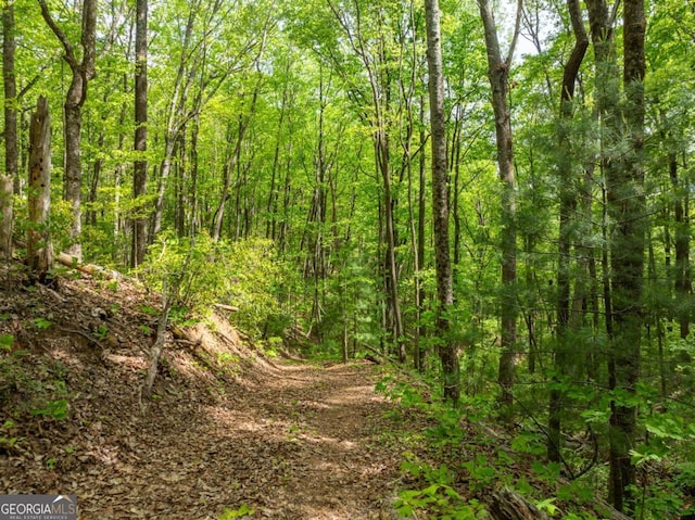 view of nature