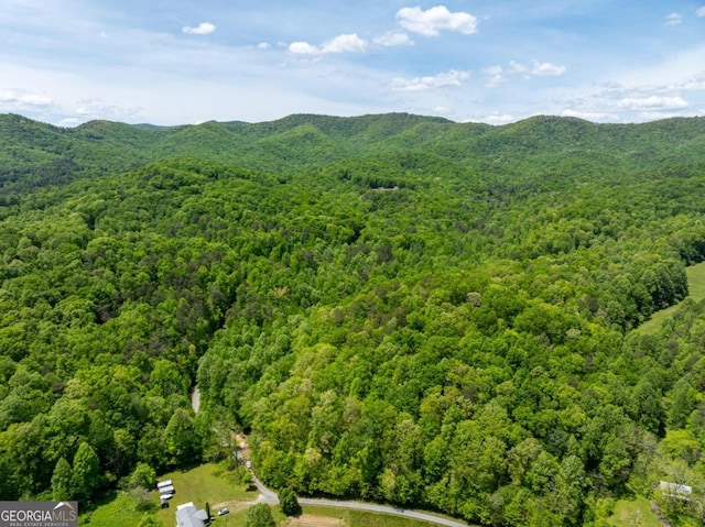 drone / aerial view with a mountain view