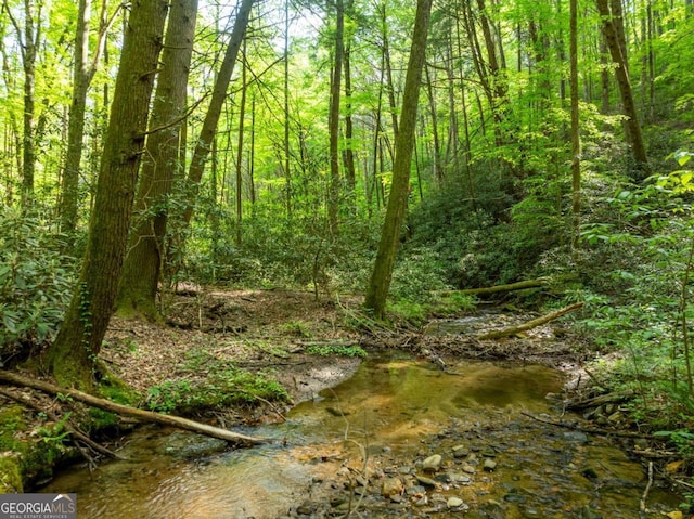 view of local wilderness